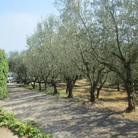 Garden House Li Galli By Interhome Torca